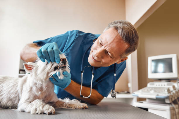 Best Emergency Broken Tooth Repair in Linden, CA
